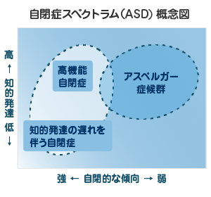 自閉症スペクトラム(ＡＳＤ)概念図