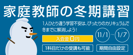 １人ひとり違う学習不安は、ぴったりのカリキュラムで冬までに解消しよう！家庭教師の冬期講習 11/1-1/7 入会金０円 1科目だけの受講も可能 期間自由設定