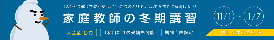 １人ひとり違う学習不安は、ぴったりのカリキュラムで冬までに解消しよう！家庭教師の冬期講習 11/1-1/7 入会金０円 1科目だけの受講も可能 期間自由設定